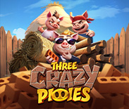 Three Crazy Piggies