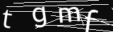 verifycode
